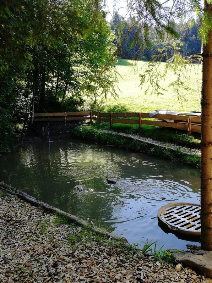 Ferienhaus Am Waldrand Von Egg Bregenzer Wald Екстериор снимка