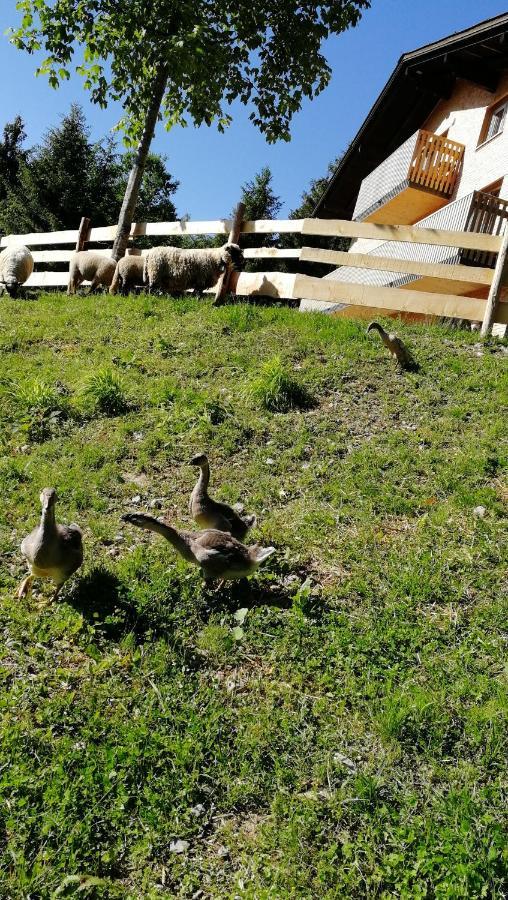 Ferienhaus Am Waldrand Von Egg Bregenzer Wald Екстериор снимка