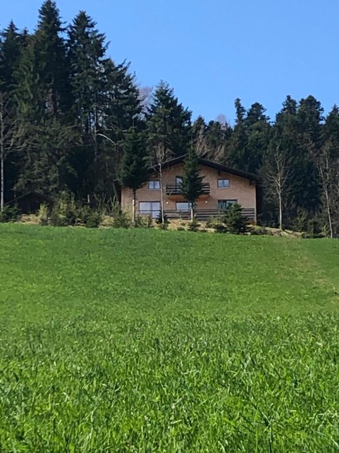 Ferienhaus Am Waldrand Von Egg Bregenzer Wald Екстериор снимка