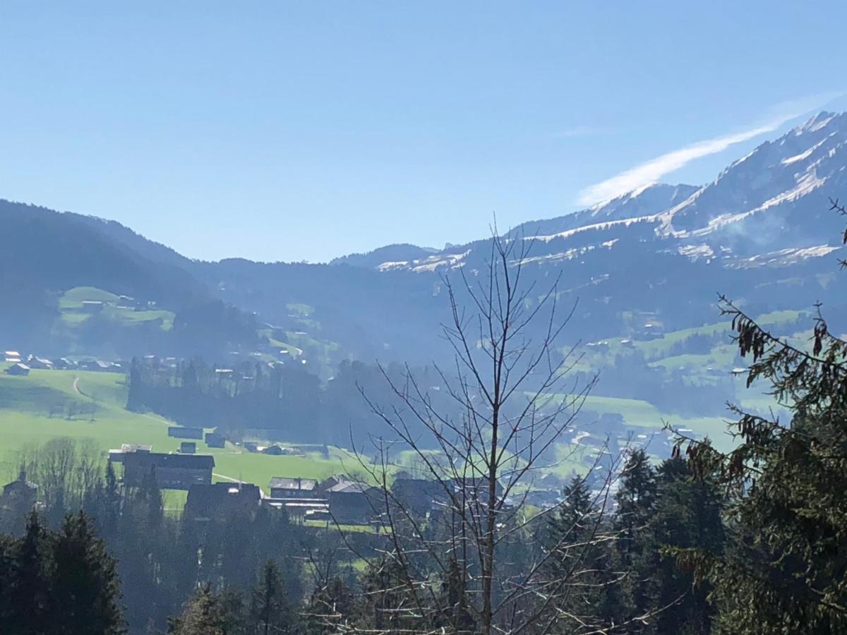 Ferienhaus Am Waldrand Von Egg Bregenzer Wald Екстериор снимка